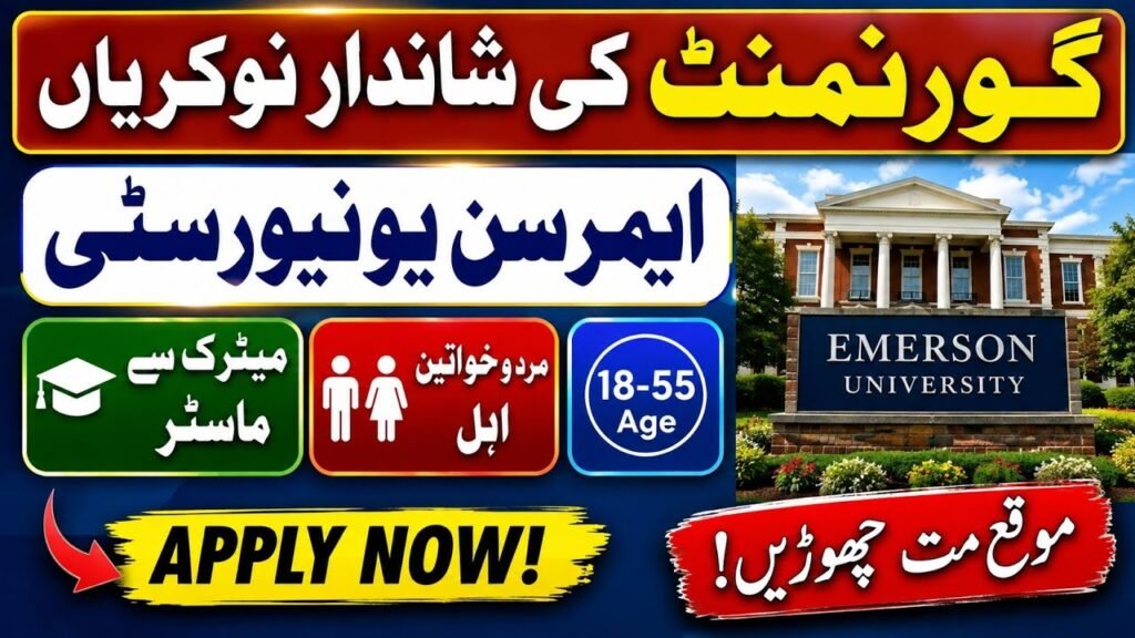 Emerson University Multan Jobs 2026 – Daily Wages (89 Days) Staff Recruitment 2026 09 05 08 40 16